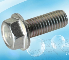 Hex Flange Bolt